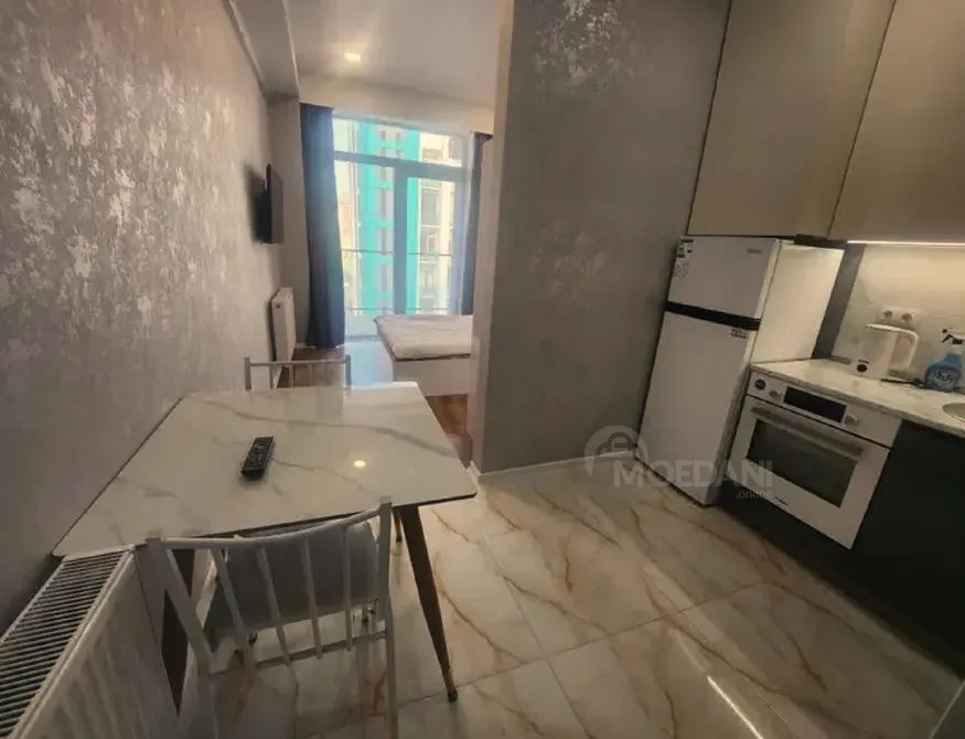 Apartments For Rent one-room 35м² 8/12 floor Tbilisi - photo 3