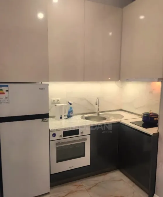 Apartments For Rent one-room 35м² 8/12 floor Tbilisi - photo 9