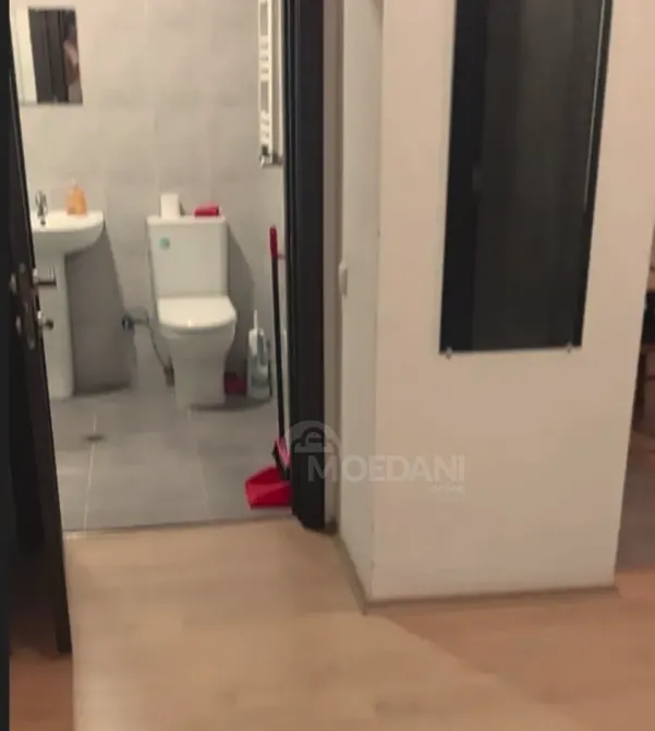 Apartments For Rent two-room 50м² 16/16 floor Tbilisi - photo 5