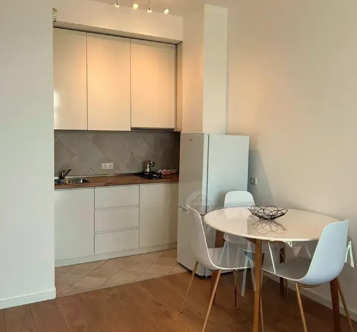 ქირავდება 2 ოთახიანი ბინა 45მ² 6/7 სართ თბილისი - photo 12