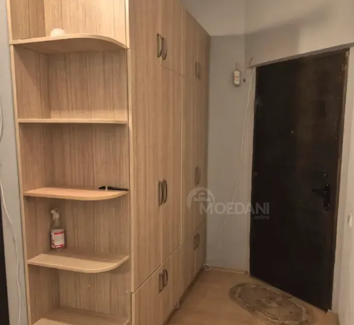 Apartments For Rent two-room 60м² 16/16 floor Tbilisi - photo 2