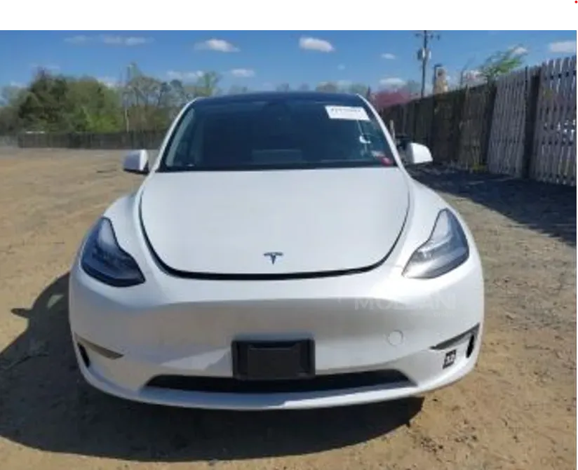 Tesla Model Y 2021 თბილისი - photo 1