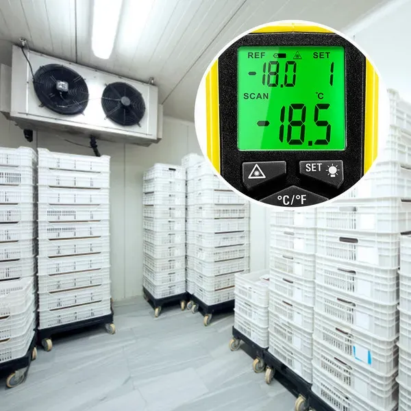 Пирометр Инфракрасный термометр Тбилиси - изображение 7