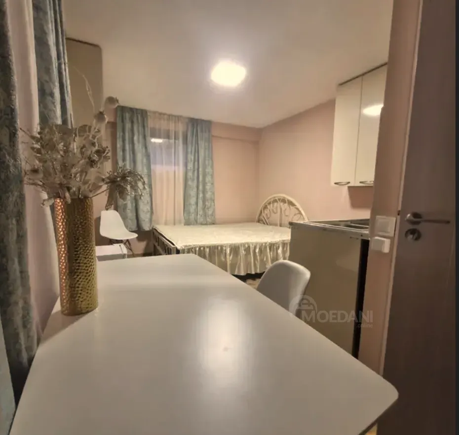 ქირავდება 1 ოთახიანი ბინა 20მ² 1/5 სართ თბილისი - photo 6