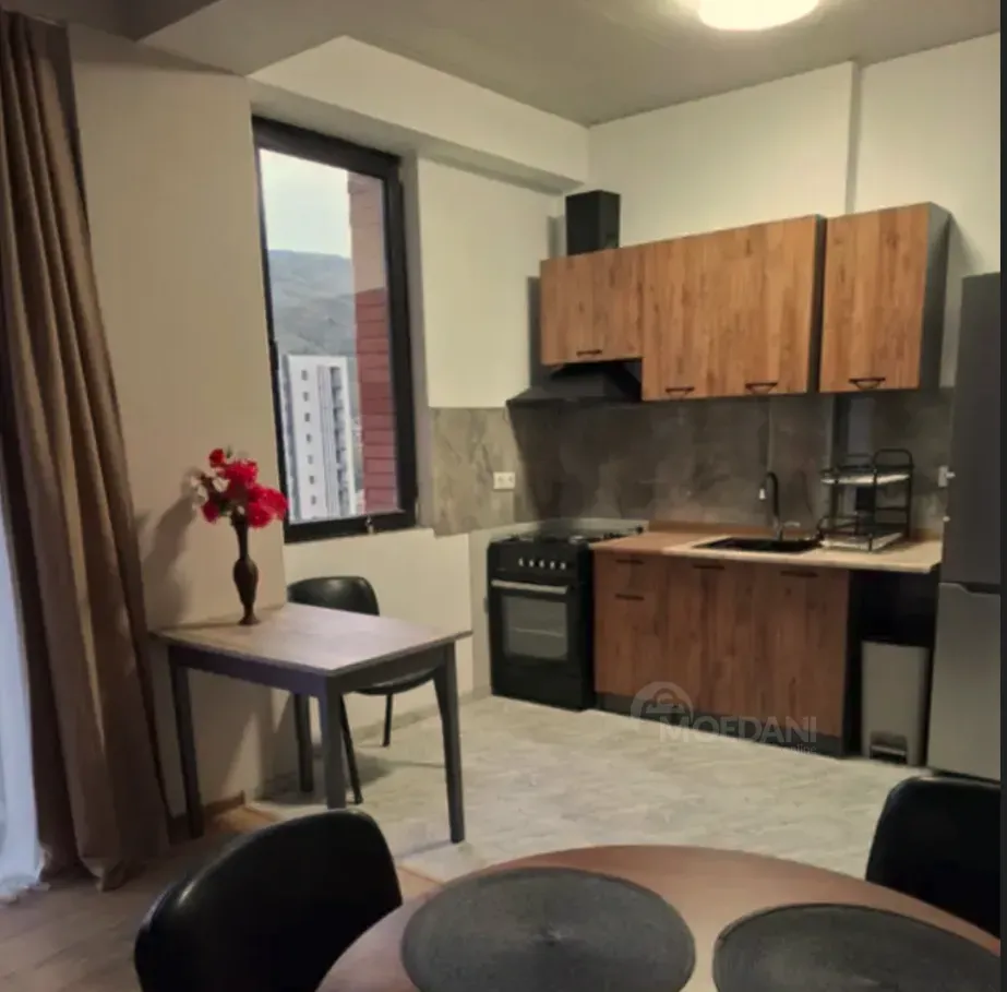 ქირავდება 2 ოთახიანი ბინა 55მ² 9/12 სართ თბილისი - photo 3