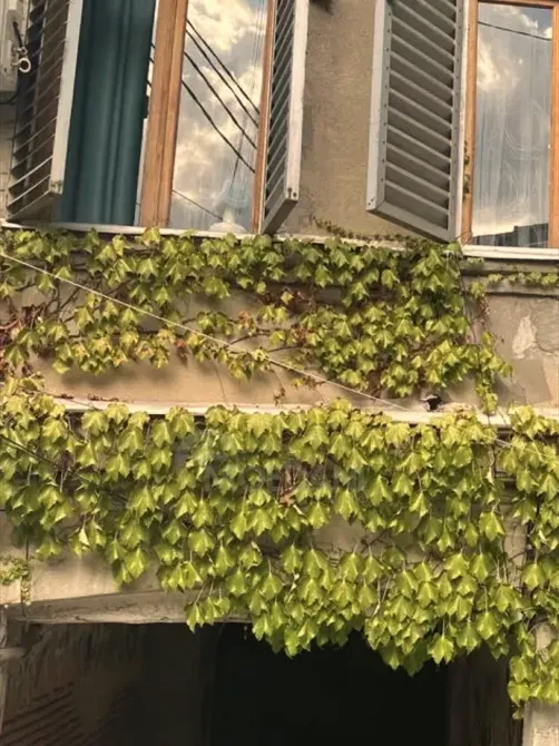 Apartments For Rent two-room 50м² 2/3 floor Tbilisi - photo 6