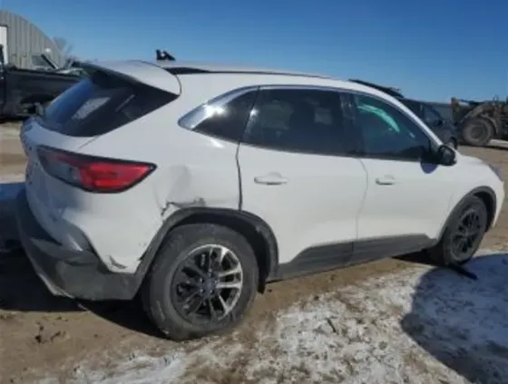 Ford Escape 1.5L 2020 თბილისი