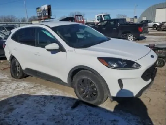 Ford Escape 1.5L 2020 თბილისი