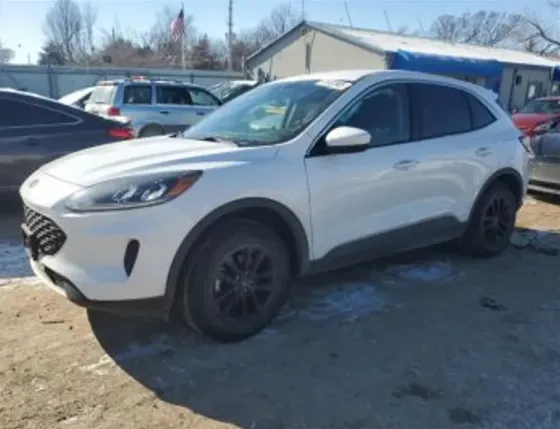 Ford Escape 1.5L 2020 თბილისი