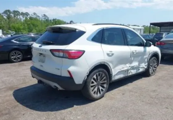 Ford Escape 2020 თბილისი