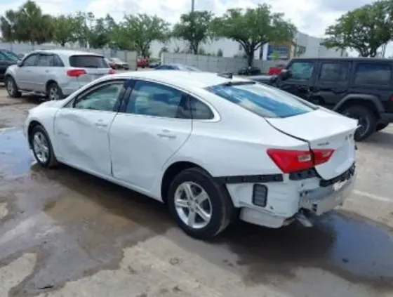 Chevrolet Malibu 2024 Тбилиси