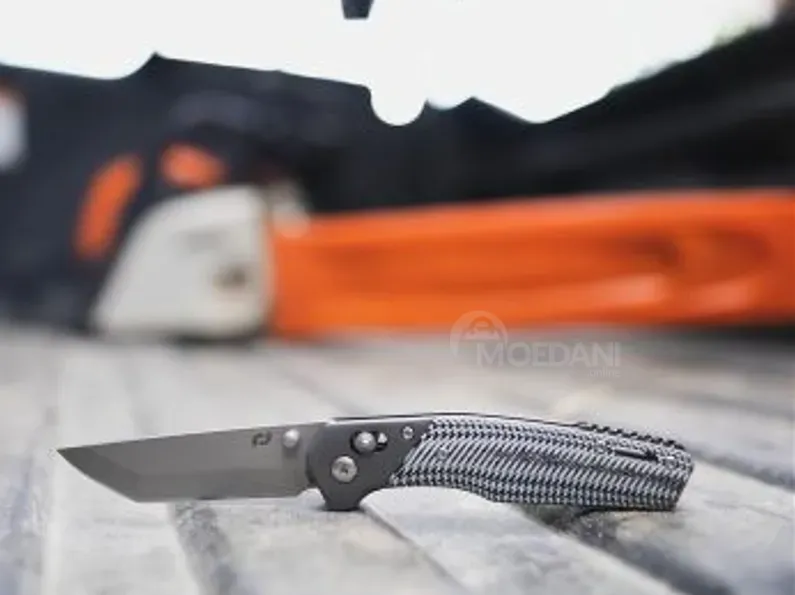 Дана Шрейд Альфа-класс Труикс Тбилиси - изображение 3