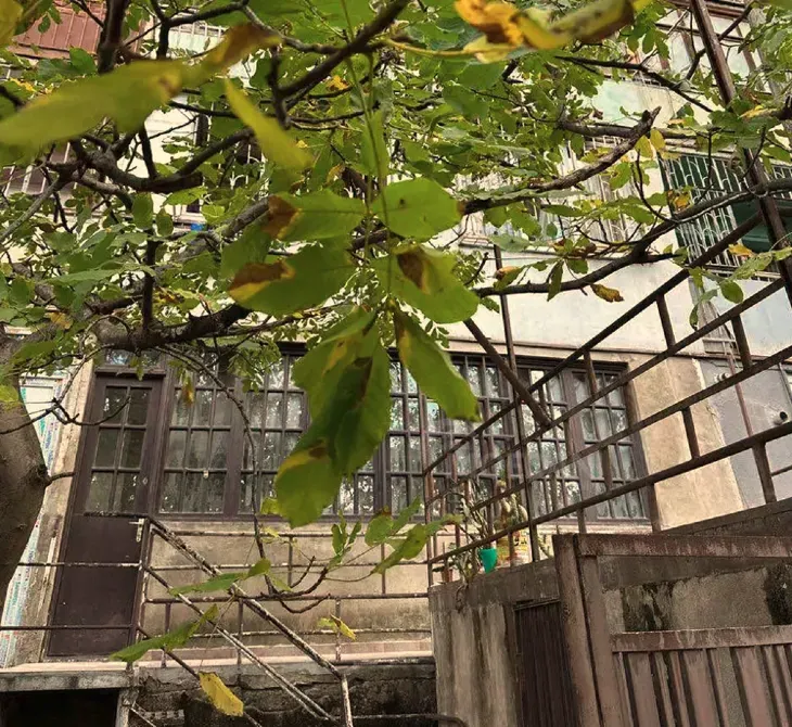 Apartments For Sale three-room 150м² 1/9 floor Tbilisi - photo 1