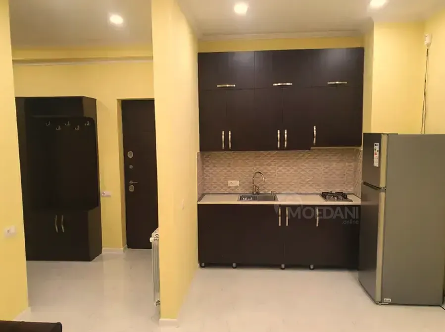 Сдам 2-комн. квартиру 55м² 17/20 эт. Тбилиси - изображение 9