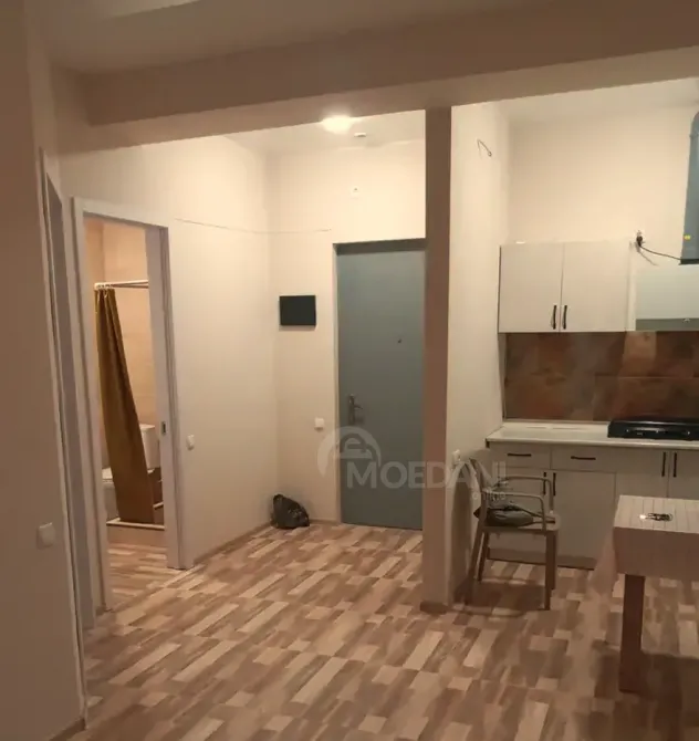 ქირავდება 2 ოთახიანი ბინა 55მ² 9/12 სართ თბილისი - photo 2