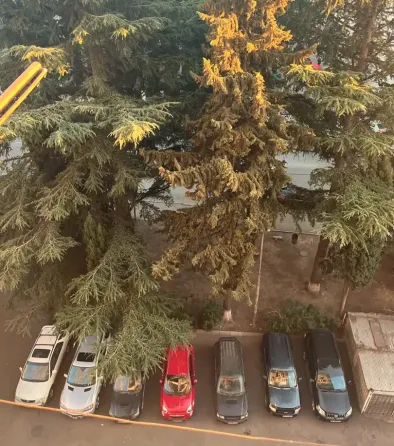 Продам 1-комн. квартиру 42м² 7/14 эт. Тбилиси