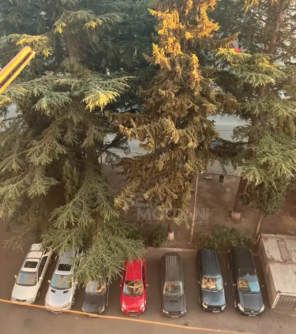 Продам 1-комн. квартиру 42м² 7/14 эт. Тбилиси - изображение 2