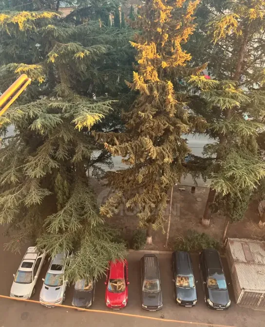 Продам 2-комн. квартиру 42м² 7/16 эт. Тбилиси - изображение 2