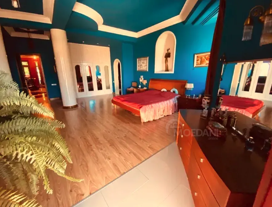 House for sale 800м² Tbilisi - photo 4