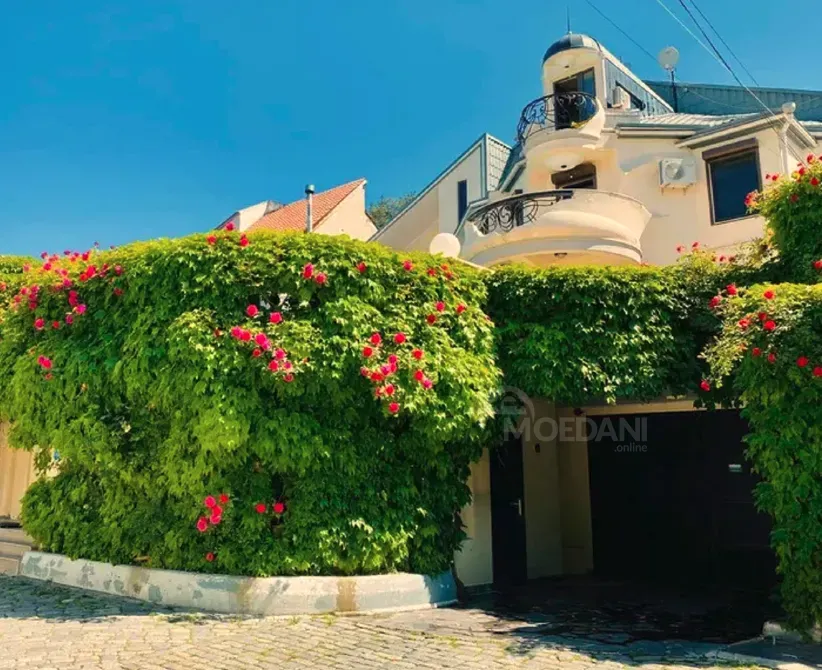 House for sale 800м² Tbilisi - photo 5