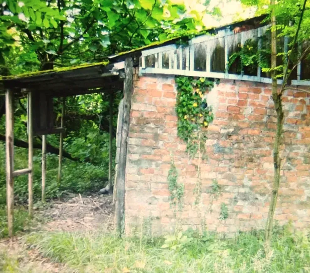 სახლი 2400м² სამტრედია - photo 4