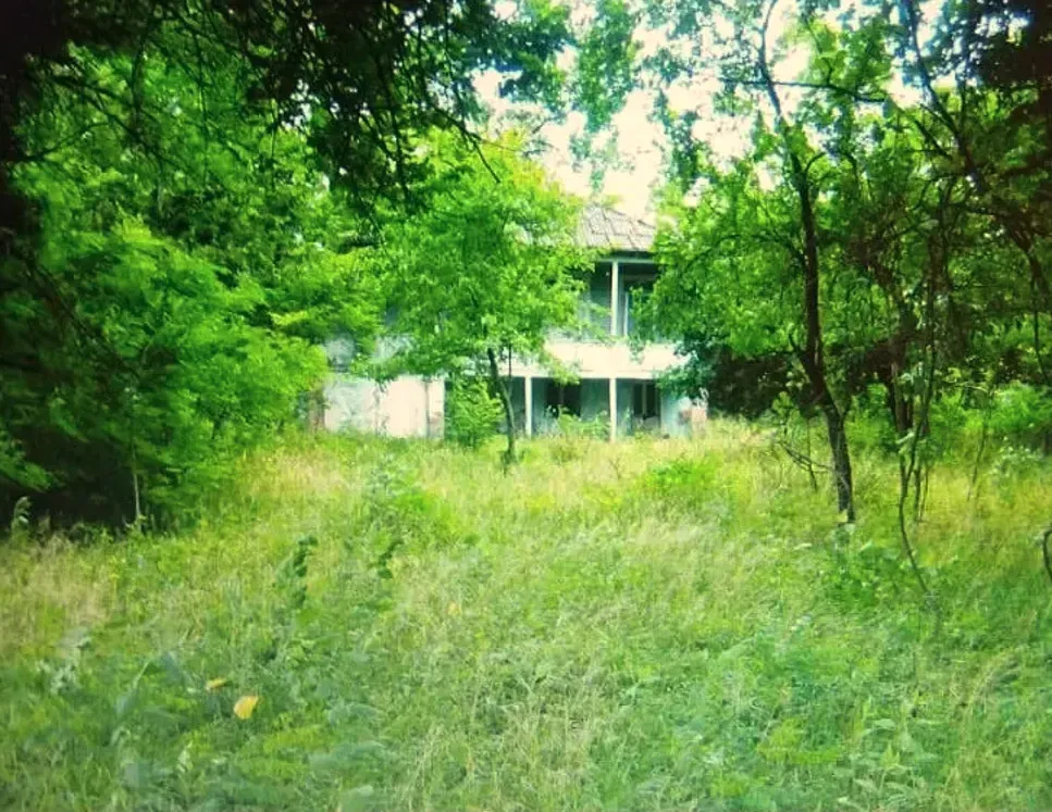 სახლი 2400м² სამტრედია - photo 7