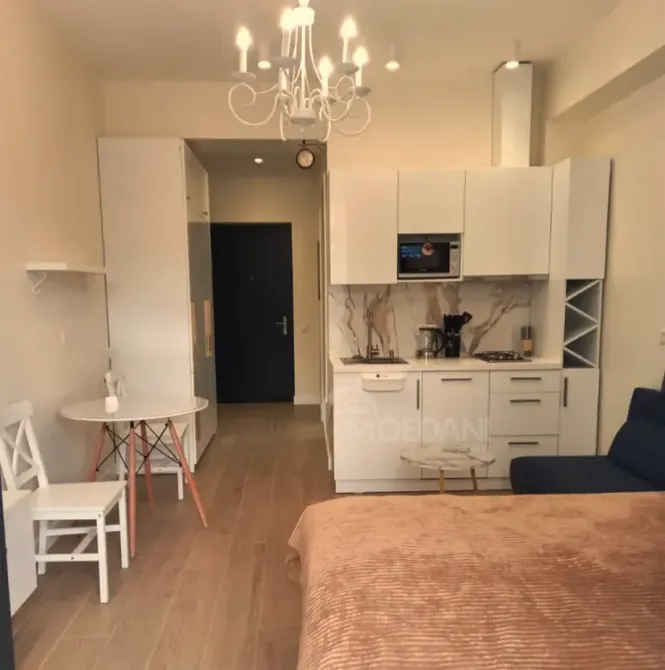 ქირავდება 1 ოთახიანი ბინა 30მ² 6/20 სართ თბილისი - photo 9