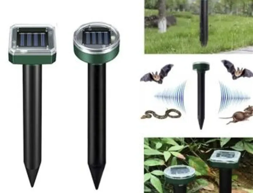 Против грызунов, насекомых и вредителей Тбилиси - изображение 1