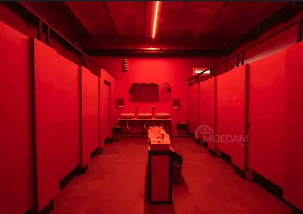 Универсальное коммерческое помещение в аренду в Чугурети Тбилиси - изображение 11