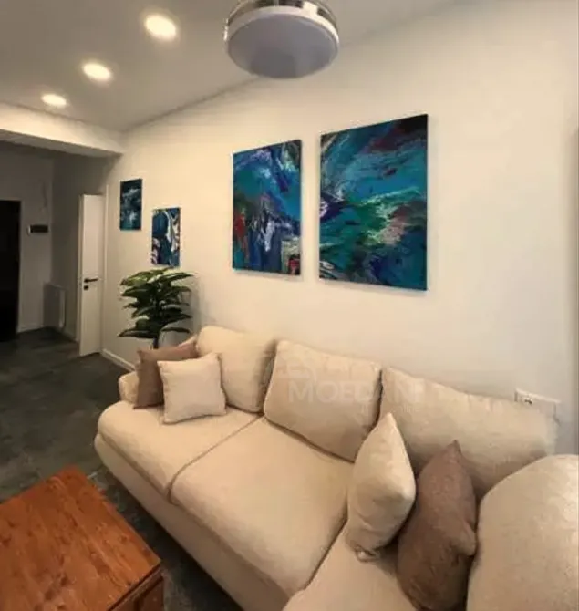 ქირავდება 2 ოთახიანი ბინა 50მ² 1/3 სართ თბილისი - photo 3