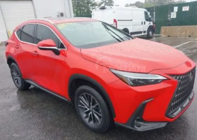 Lexus NX 2024 თბილისი - photo 2