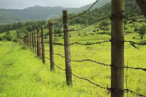 Одиночный провод Тбилиси - изображение 3