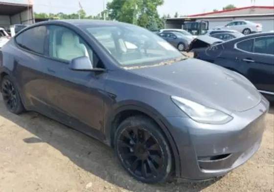 Tesla Model Y 2021 თბილისი
