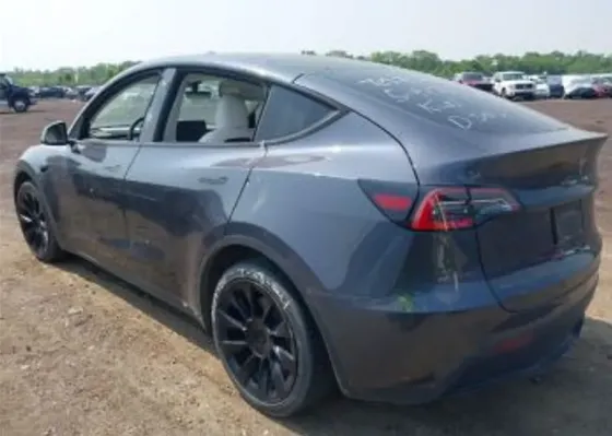 Tesla Model Y 2021 თბილისი