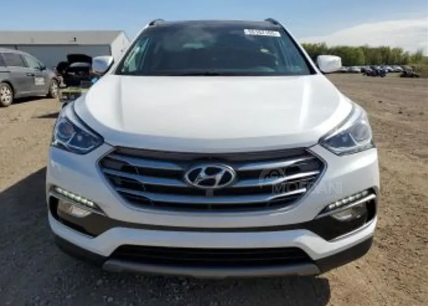 Hyundai Santa Fe 2018 თბილისი - photo 1