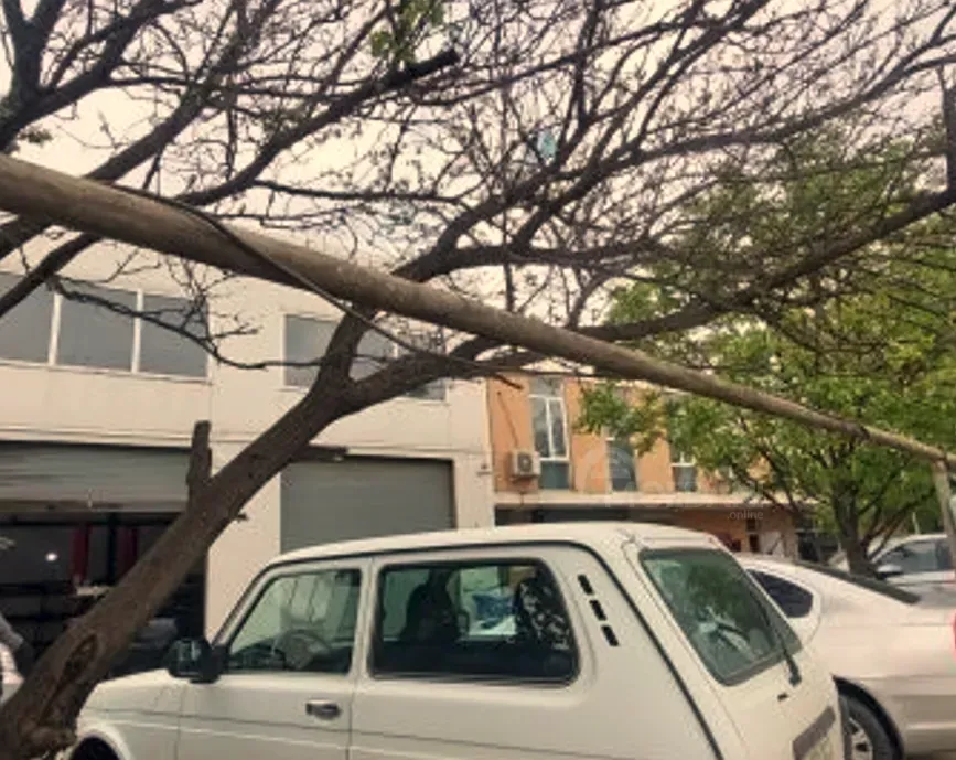 Ქირავდება უნივერსალური კომერციული ფართი დიდ დიღომში თბილისი - photo 5