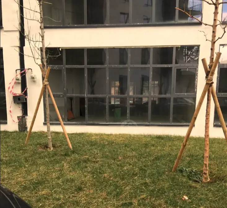 Commercial space for rent in Didube Tbilisi - photo 8