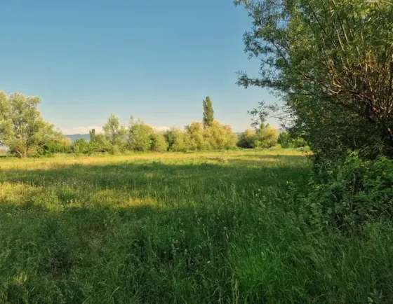 Продам земельный участок 625м² Мцхета