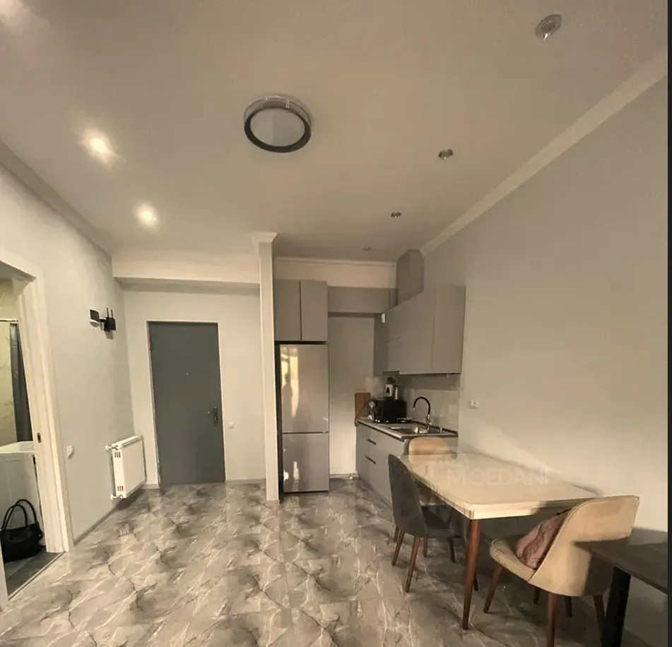 ქირავდება 2 ოთახიანი ბინა 48მ² 1/10 სართ თბილისი - photo 1