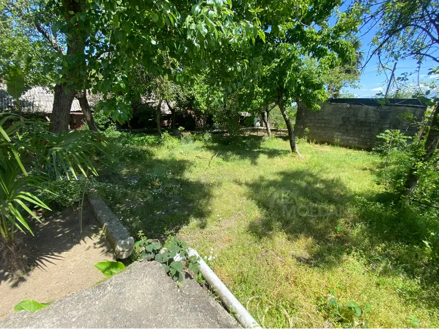 სახლი 731м² ქობულეთი - photo 13