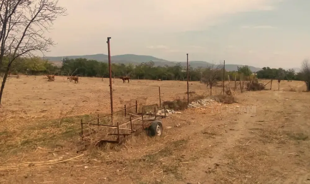 Продам земельный участок 2200м² Мцхета - изображение 6