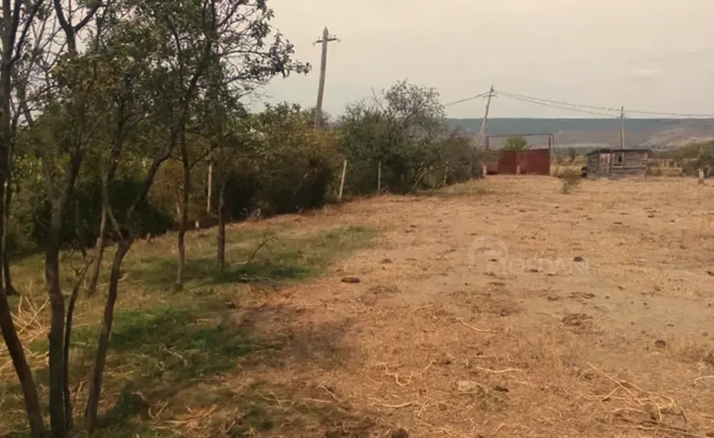 Продам земельный участок 2200м² Мцхета - изображение 3