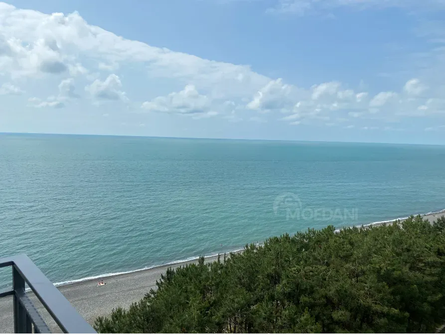 იყიდება 3 ოთახიანი ბინას 76მ² 10/10 სართ ქობულეთი - photo 9