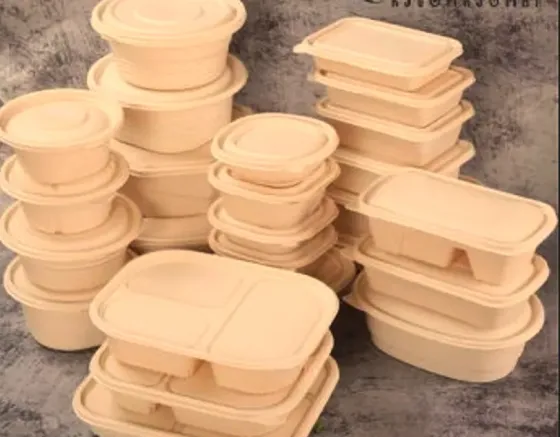 Биоразлагаемый ланч-бокс Тбилиси