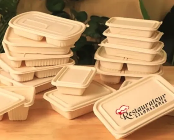 Биоразлагаемый ланч-бокс Тбилиси