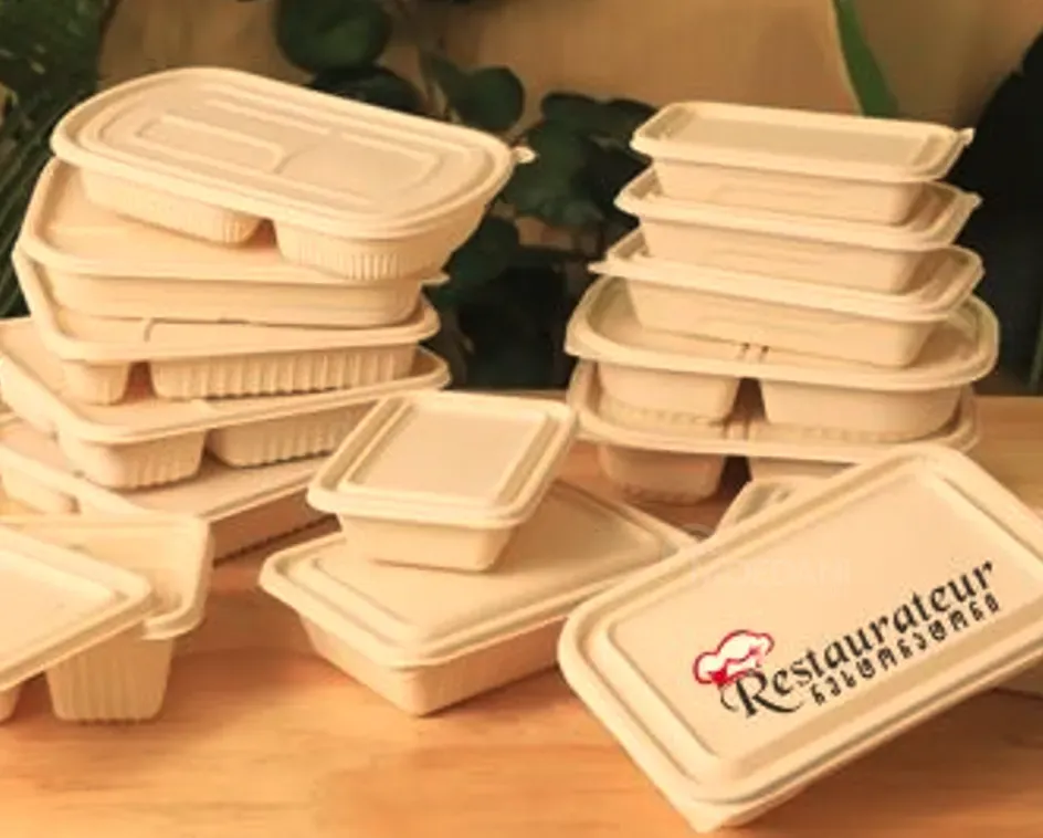 Биоразлагаемый ланч-бокс Тбилиси - изображение 3