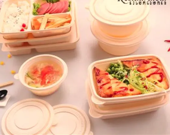 Биоразлагаемая сумма Тбилиси