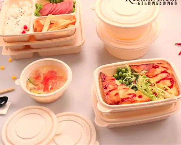 Биоразлагаемая сумма Тбилиси - изображение 2