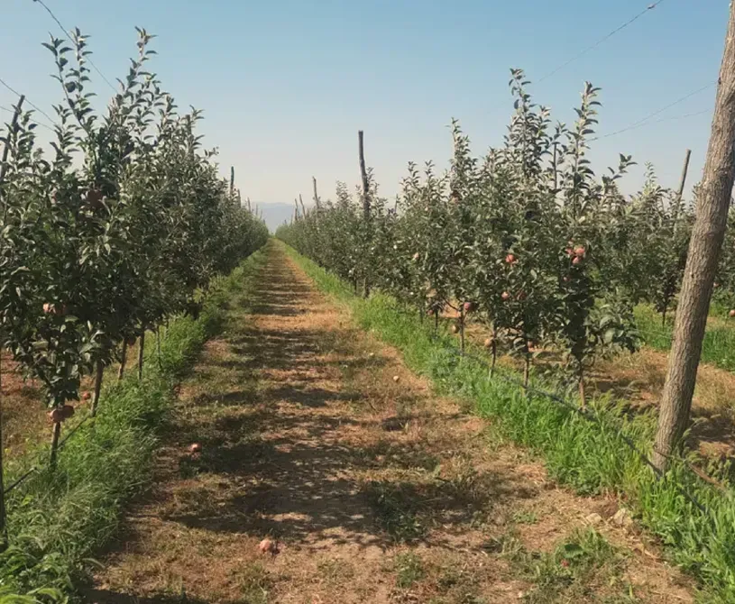 Продам земельный участок 14528м² Гори - изображение 6