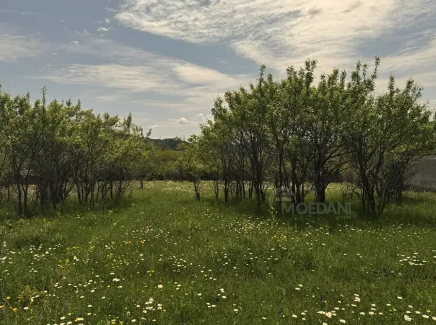 Продам земельный участок 1418м² Тбилиси - изображение 4